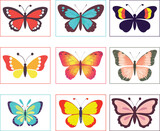 Add a pop of color to your project with this stunning colorful butterfly vector art. Perfect for nature-themed designs, coloring books, and more. High-quality and easily editable. Get yours now