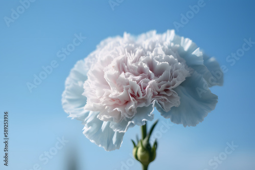 Single flower in the soft blue sky. Generative ai.