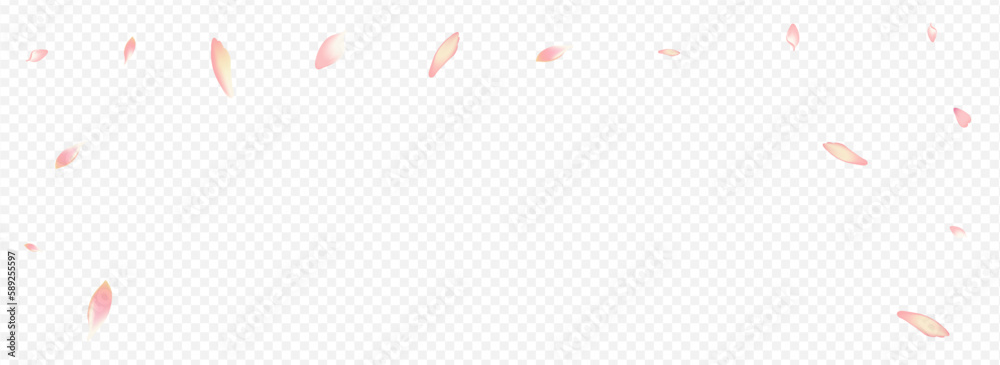 Pink Heart Vector Panoramic Transparent Pink Heart Vector Panoramic Transparent