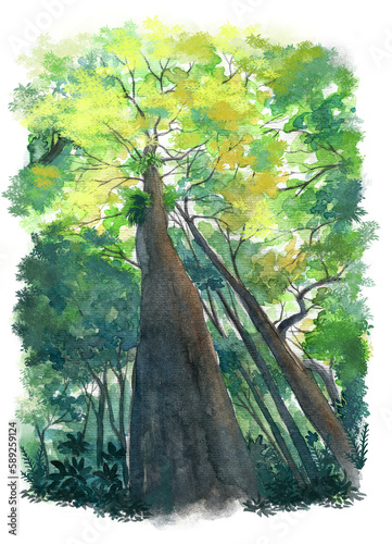 tree in the forest