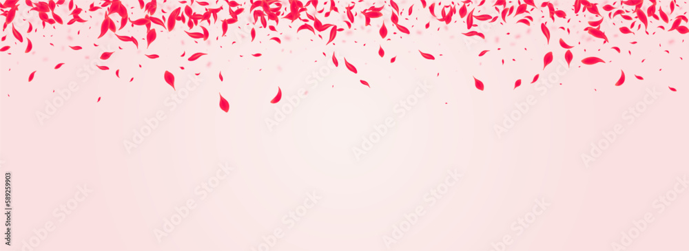 Ruby Rose Vector Pink Panoramic Background. Ruby Rose Vector Pink Panoramic Background.