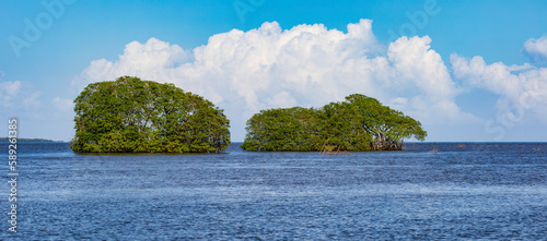 Belize, Mangroven auf dem Belize Rivers, mit einem Speedboot auf dem Fluss, blauer Himmel mit Wolken.