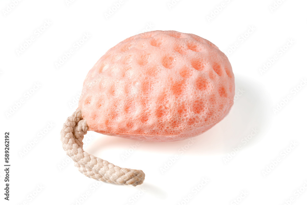 Body Care. Pink bath sponge with fabric loop insulated on white background Body Care. Pink bath sponge with fabric loop insulated on white background