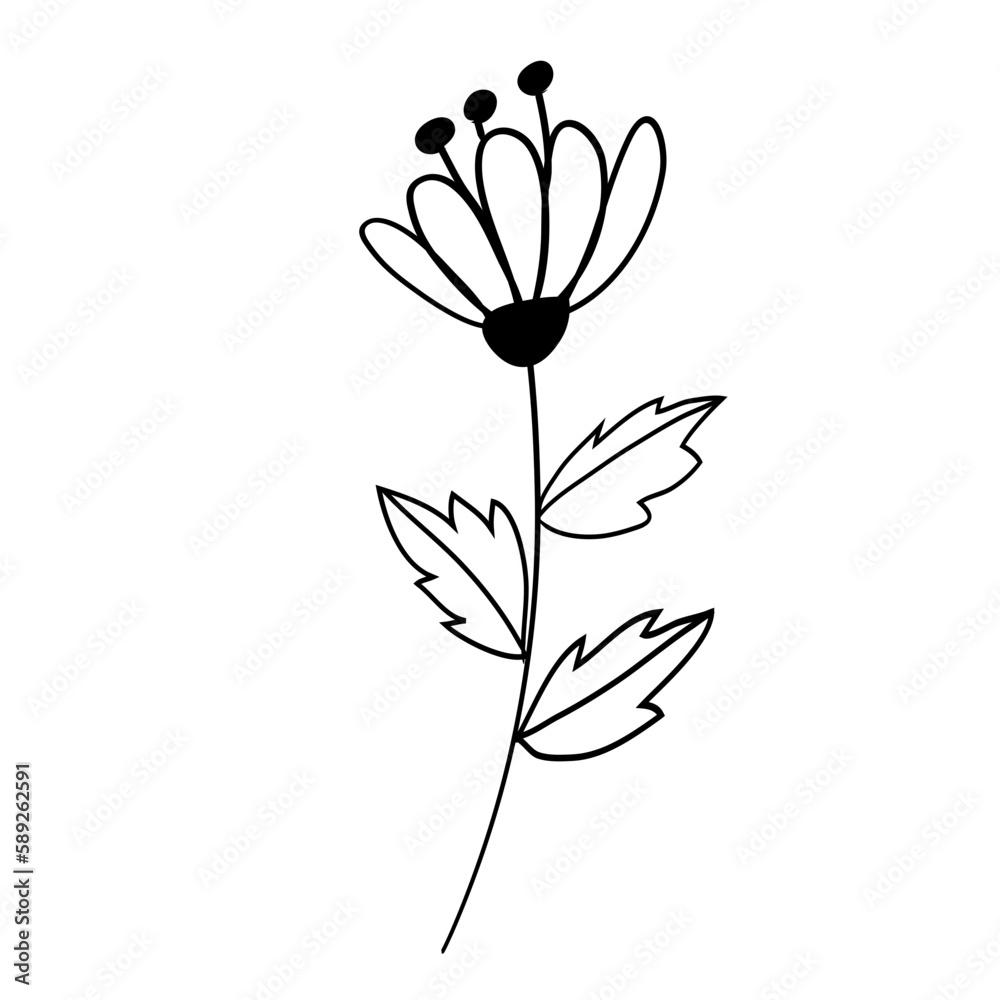 botanical leaf doodle wildflower line art botanical leaf doodle wildflower line art