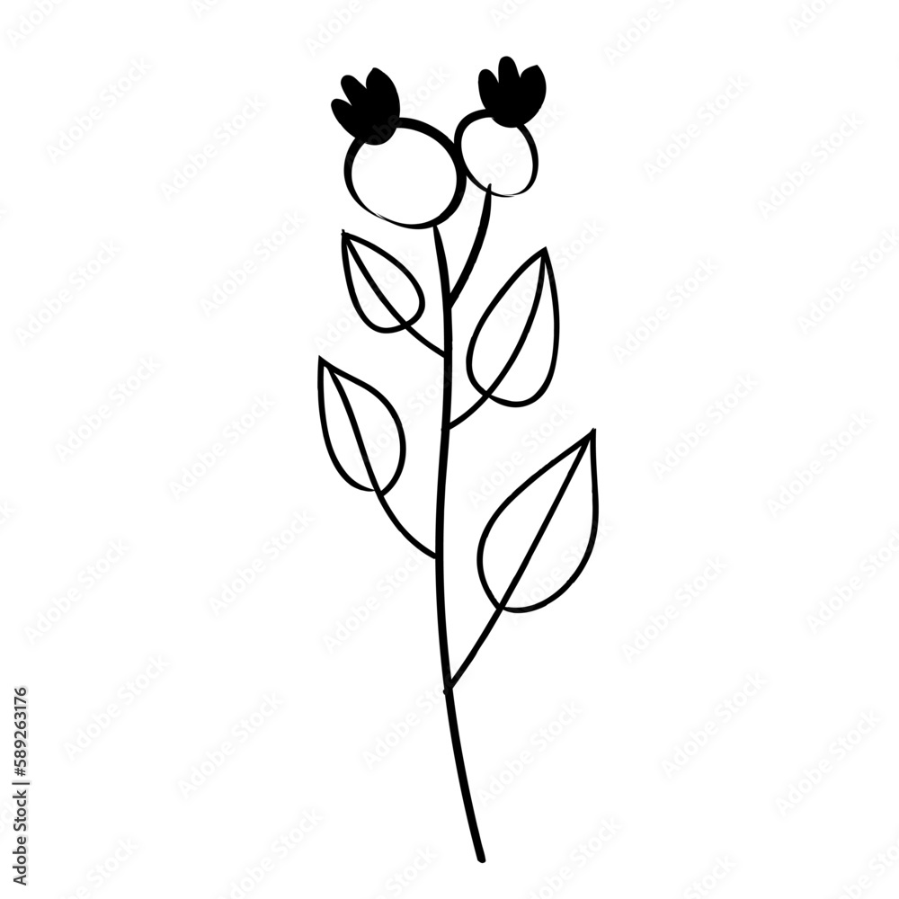 Obraz premium botanical leaf doodle wildflower line art