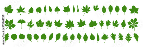 Big set of vector spring leaves, herbal elements. Collection of simple green leaves. 50 silhouettes of spring botanical flat isolated leaves for design. Can be used as sign, symbol, icon or logo.