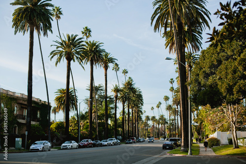 Street in Beverly Hills, California, with palms tree
