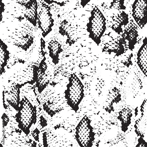 Snake Patterns