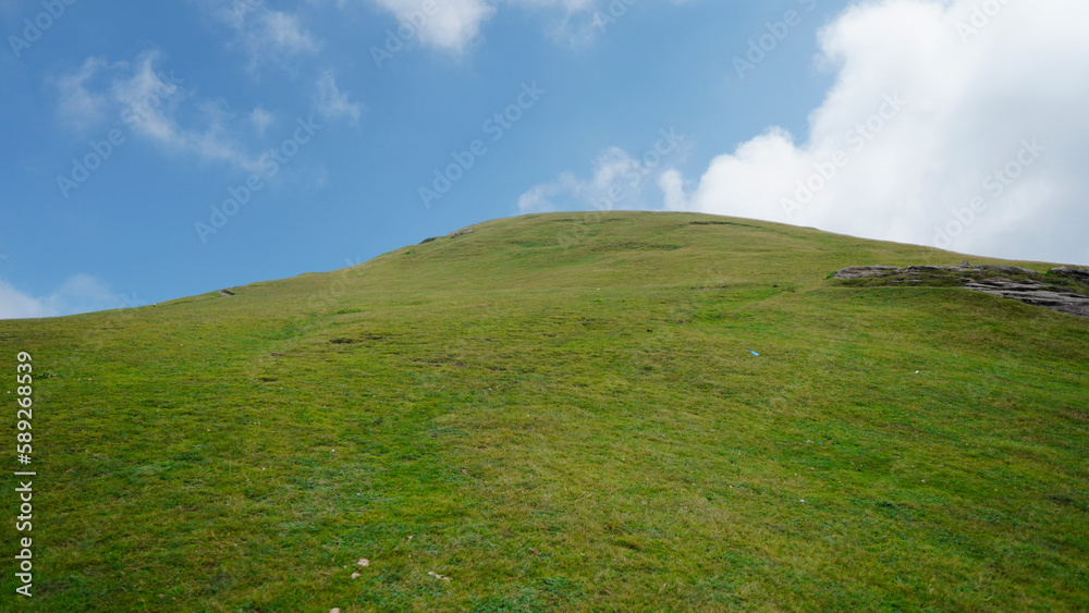grass and blue sky, Landscape grass and blue sky, Landscape