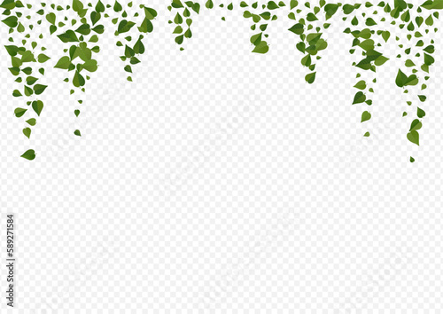 Olive Leaf Motion Vector Transparent Background