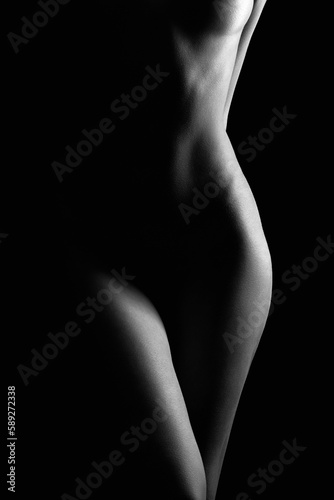 Female Nude silhouette. Naked Woman