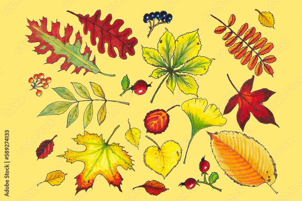 Pattern of colorful autumn leaves and rose hips