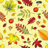 Seamless pattern of colorful autumn leaves and rose hips