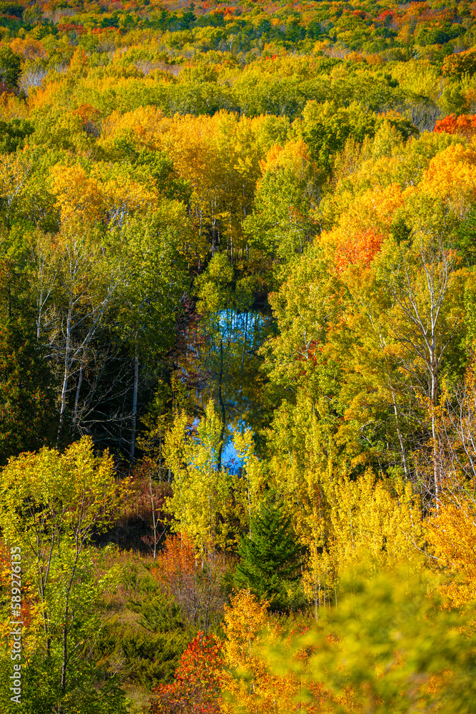 Fototapeta premium Little lake