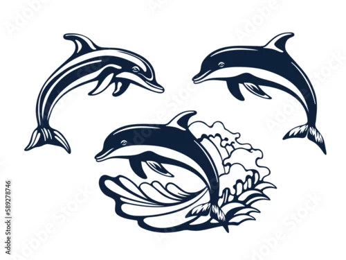 Obraz Dolphin sketch. Vector illustration of a dolphin jumping on a wave. Monochrome dolphin isolated on a white background. Logo template.