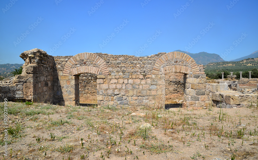 Tralleis Ancient City is located in Aydın, Turkey. It is an important ancient settlement.