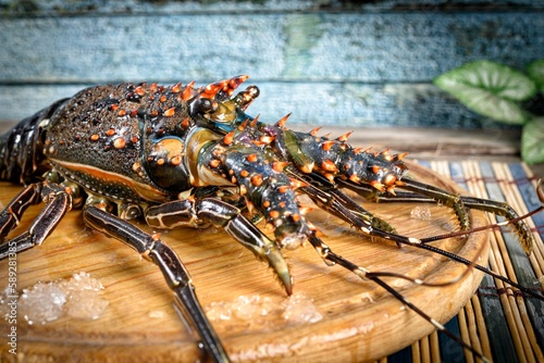 lobster on wood