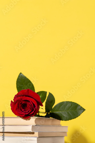 photo for sant Jordi's day, international book day and public holiday in catalonia, Image of a rose on a pile of books on a yellow background, poster copy space