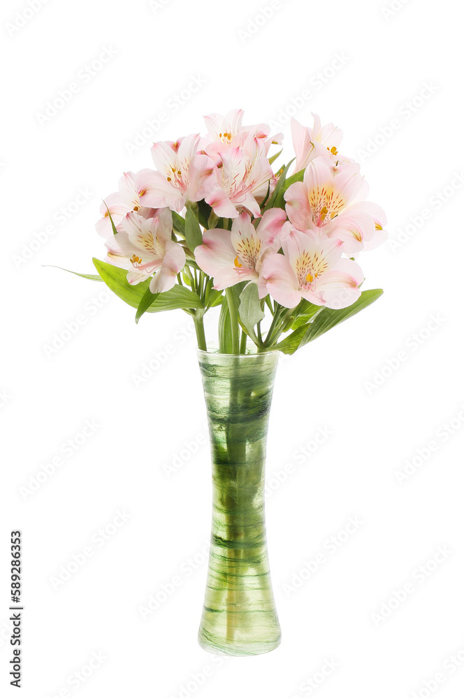 Alstroemeria flowers in a vase Alstroemeria flowers in a vase