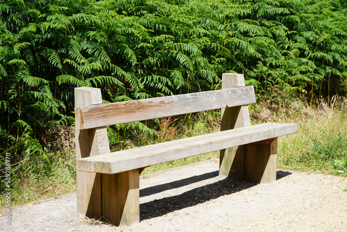 Old wooden bench in woodland 
