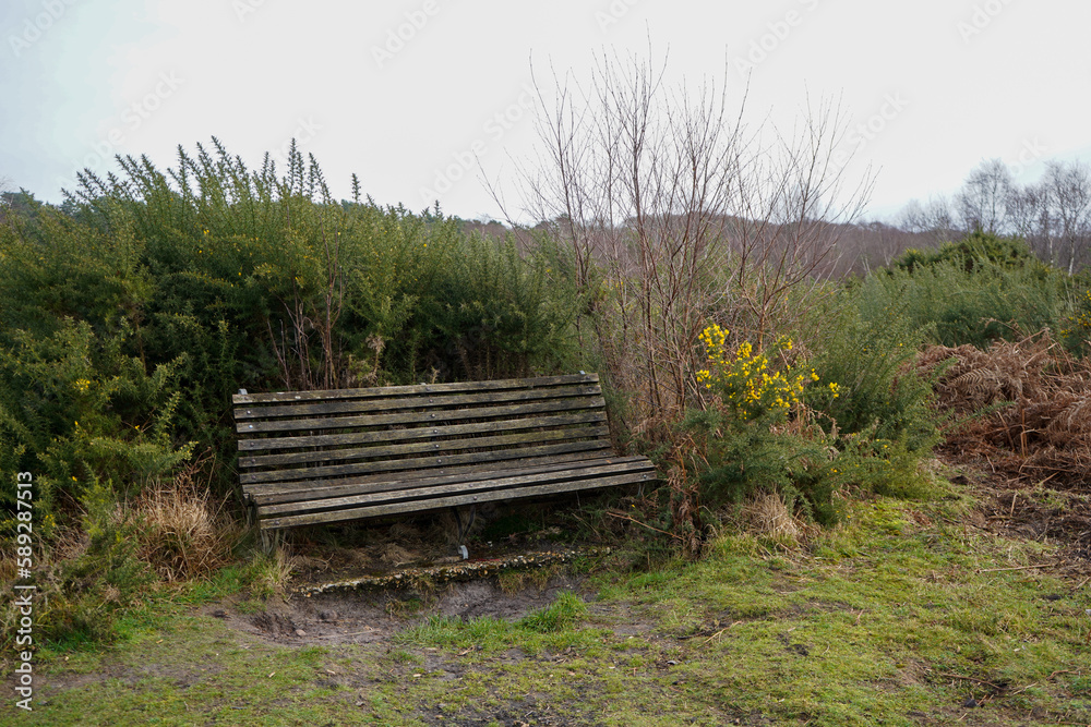 Old wooden bench in woodland Old wooden bench in woodland