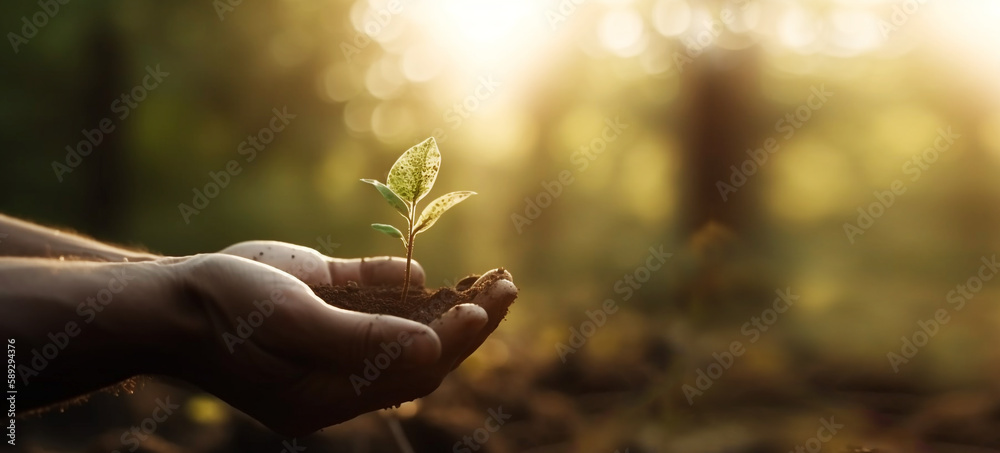 Fototapeta premium Human hand holding young green plant with sun light backgrounds for eco earth day concept. Generative Ai