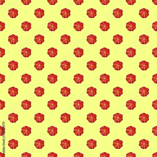 Cute cactus flower pattern – Beautiful design in red and yellow colors
