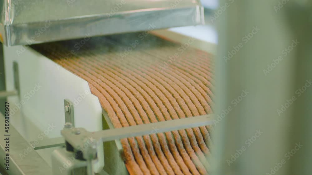 The process of making animal feed. The working process of food preparation for dogs and cats. Food for pets. The process of making animal feed. The working process of food preparation for dogs and cats. Food for pets.