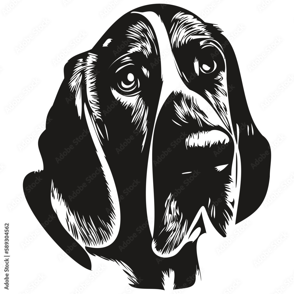 Basset Hound dog hand drawn illustration, black and white vector pets