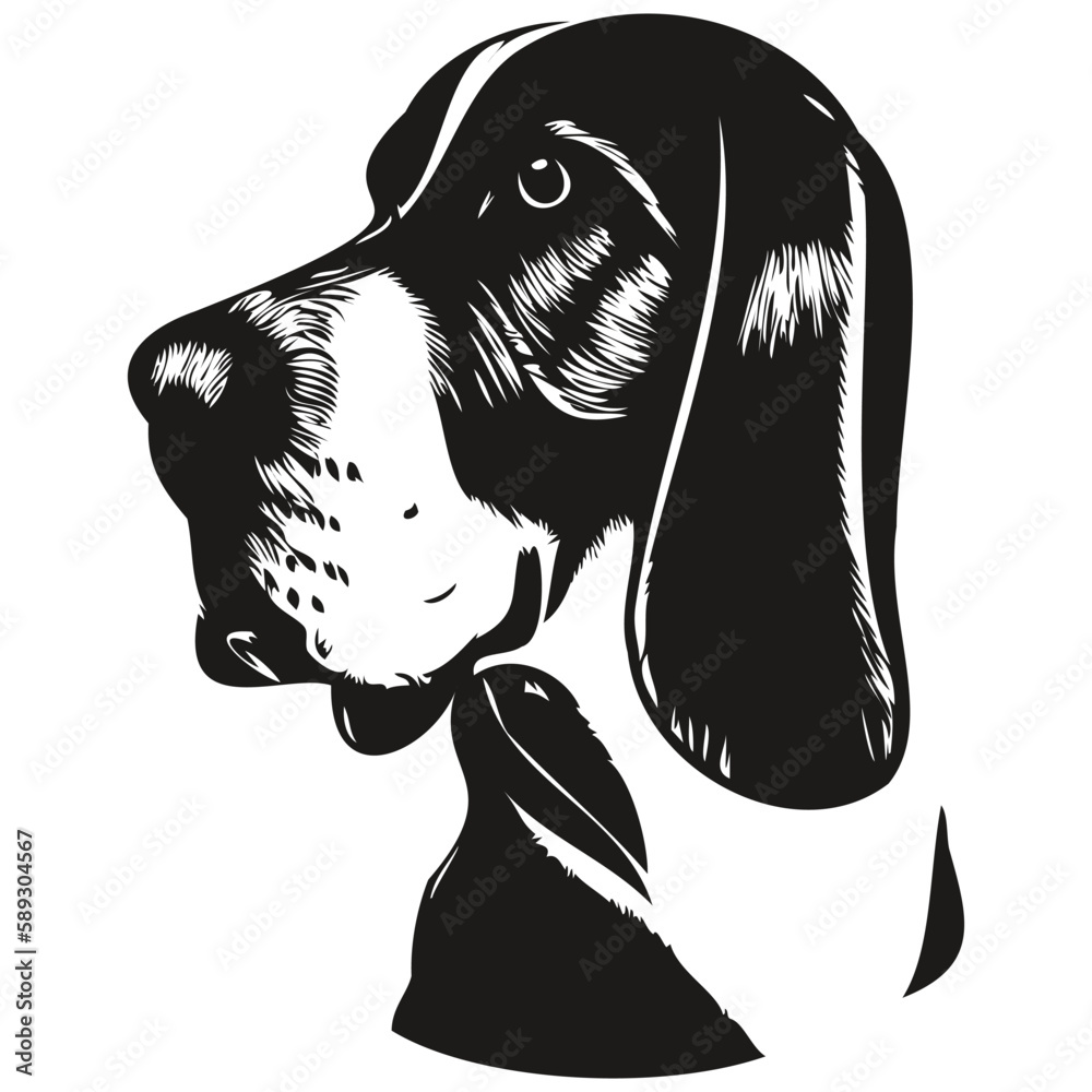 Basset Hound dog logo hand drawn line art vector drawing black and