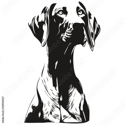 Weimaraner dog logo hand drawn line art vector drawing black and white pets illustration