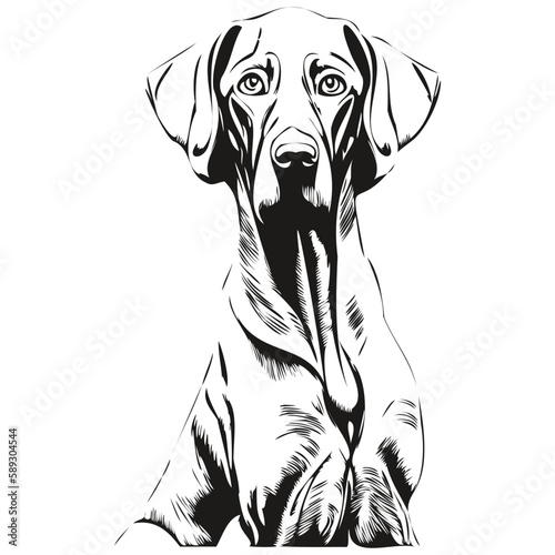 Weimaraner dog line art hand drawing vector logo black and white pets illustration