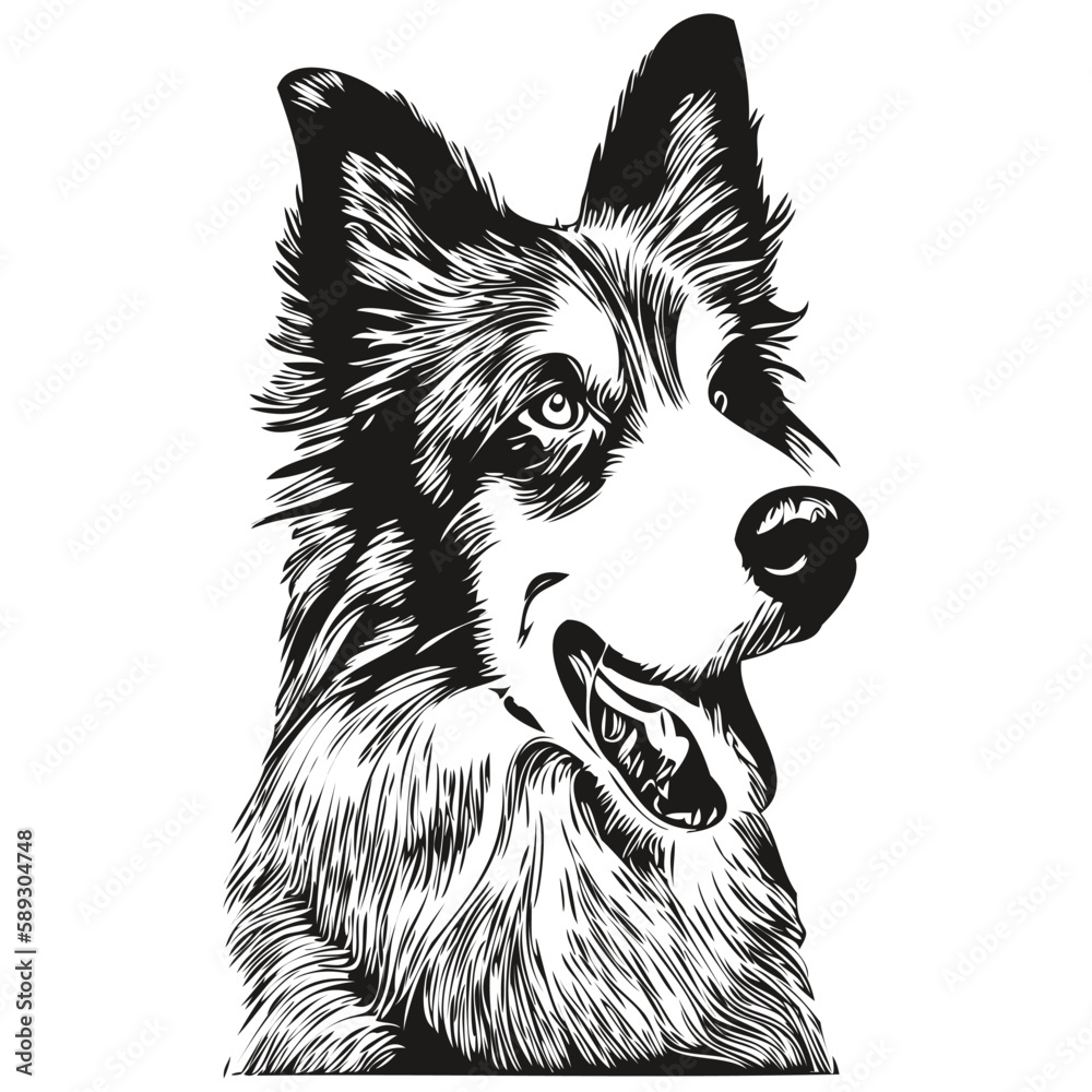 Naklejka premium Border Collies dog hand drawn logo drawing black and white line art pets illustration