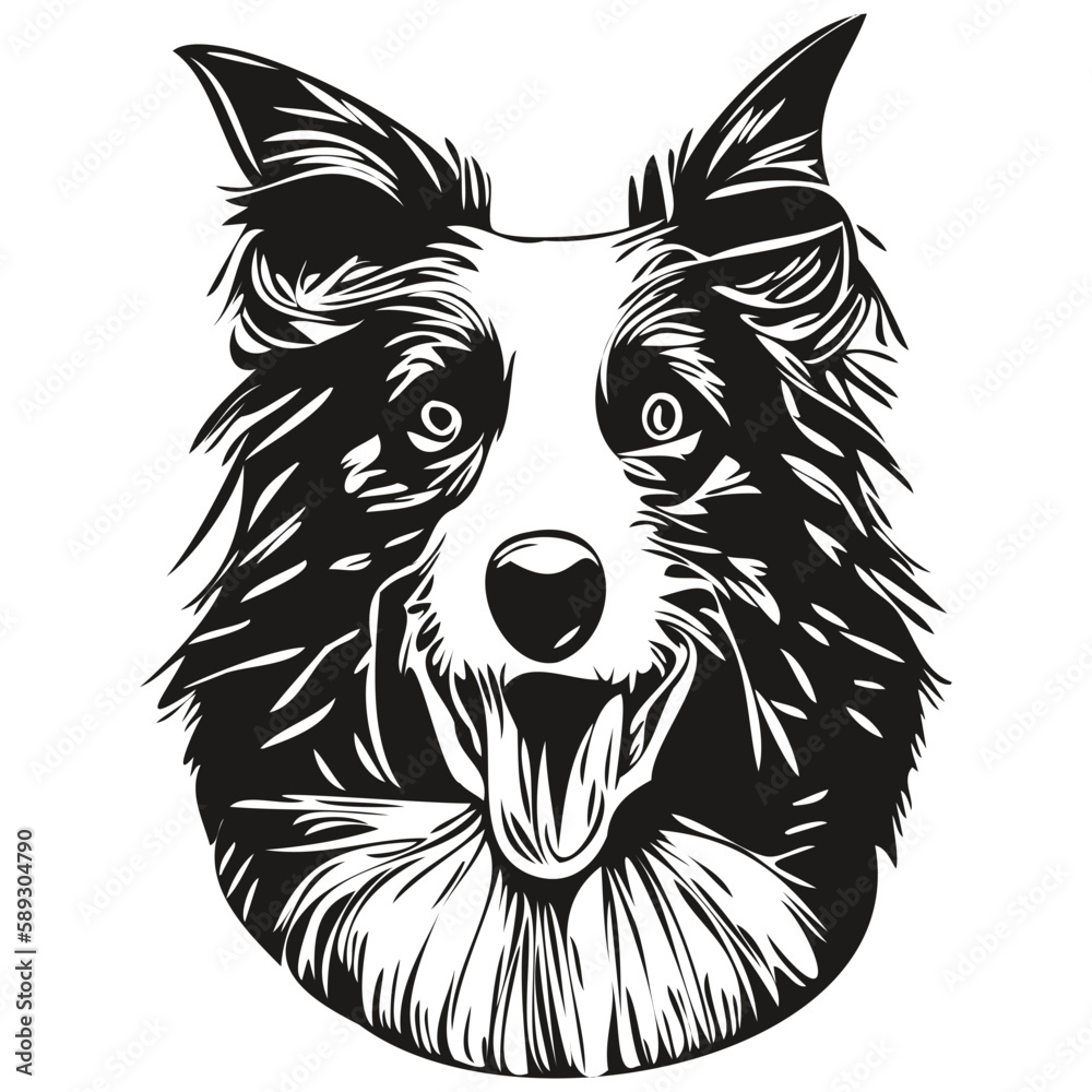 Fototapeta premium Border Collies dog line art hand drawing vector logo black and white pets illustration