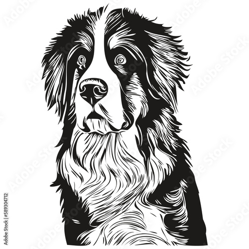 Bernese Mountain dog logo hand drawn line art vector drawing black and white pets illustration