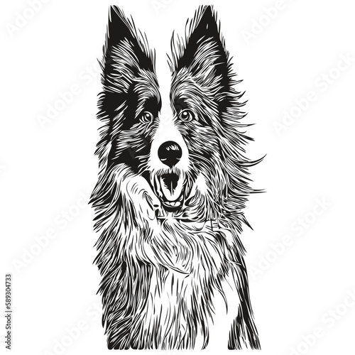 Border Collies dog hand drawn logo drawing black and white line art pets illustration