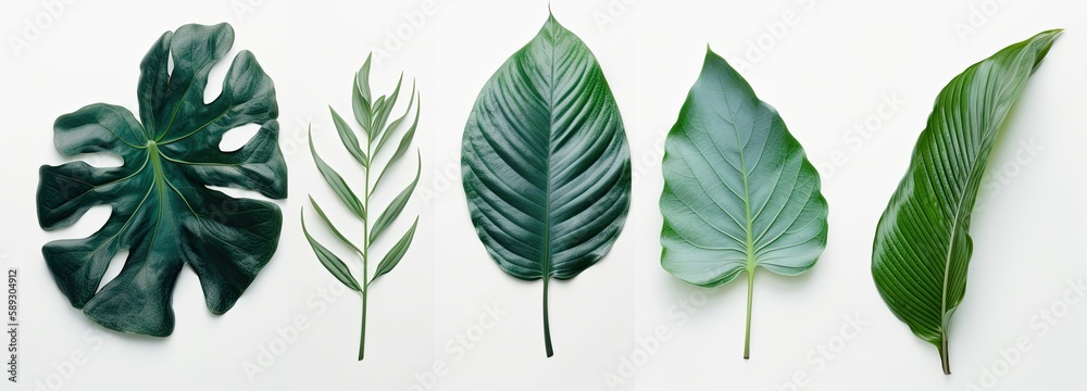 White backdrop with green leaves from multiple plants, styled in tropical symbolism. Generative AI