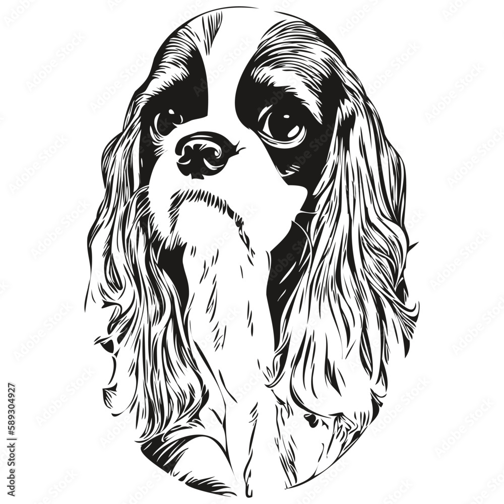 Cavalier King Charles Spaniels dog hand drawn line art vector drawing black and white logo pets illustration