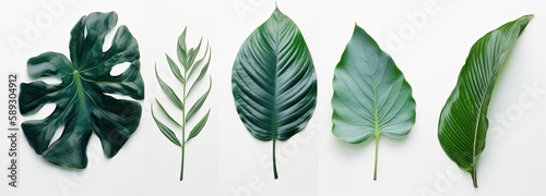 White backdrop with green leaves from multiple plants  styled in tropical symbolism. Generative AI