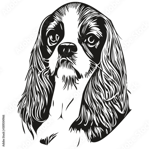 Cavalier King Charles Spaniels dog line art hand drawing vector logo black and white pets illustration
