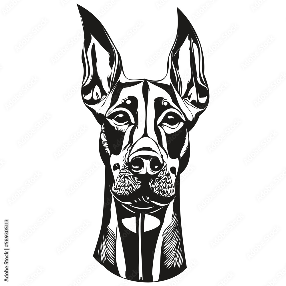 Doberman Pinschers dog line art hand drawing vector logo black and white pets illustration