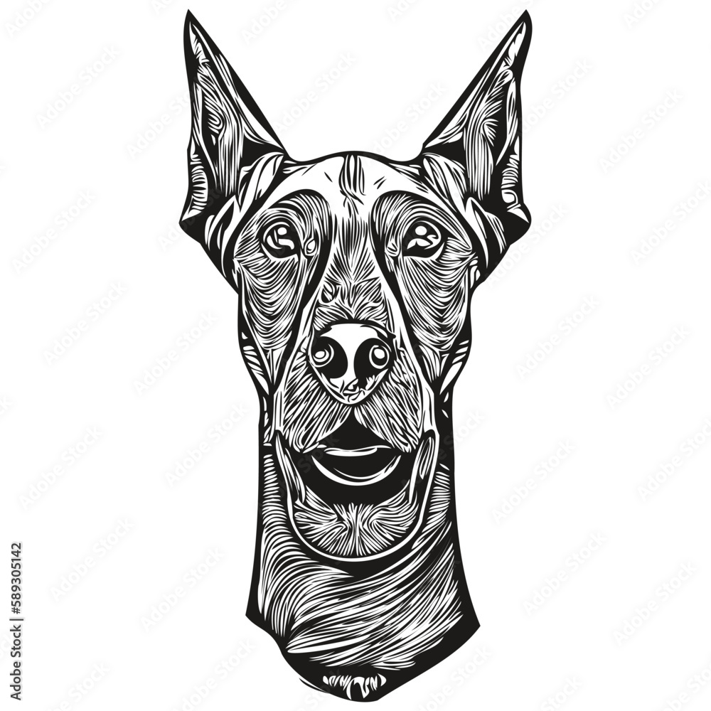 Doberman Pinschers dog logo hand drawn line art vector drawing black ...