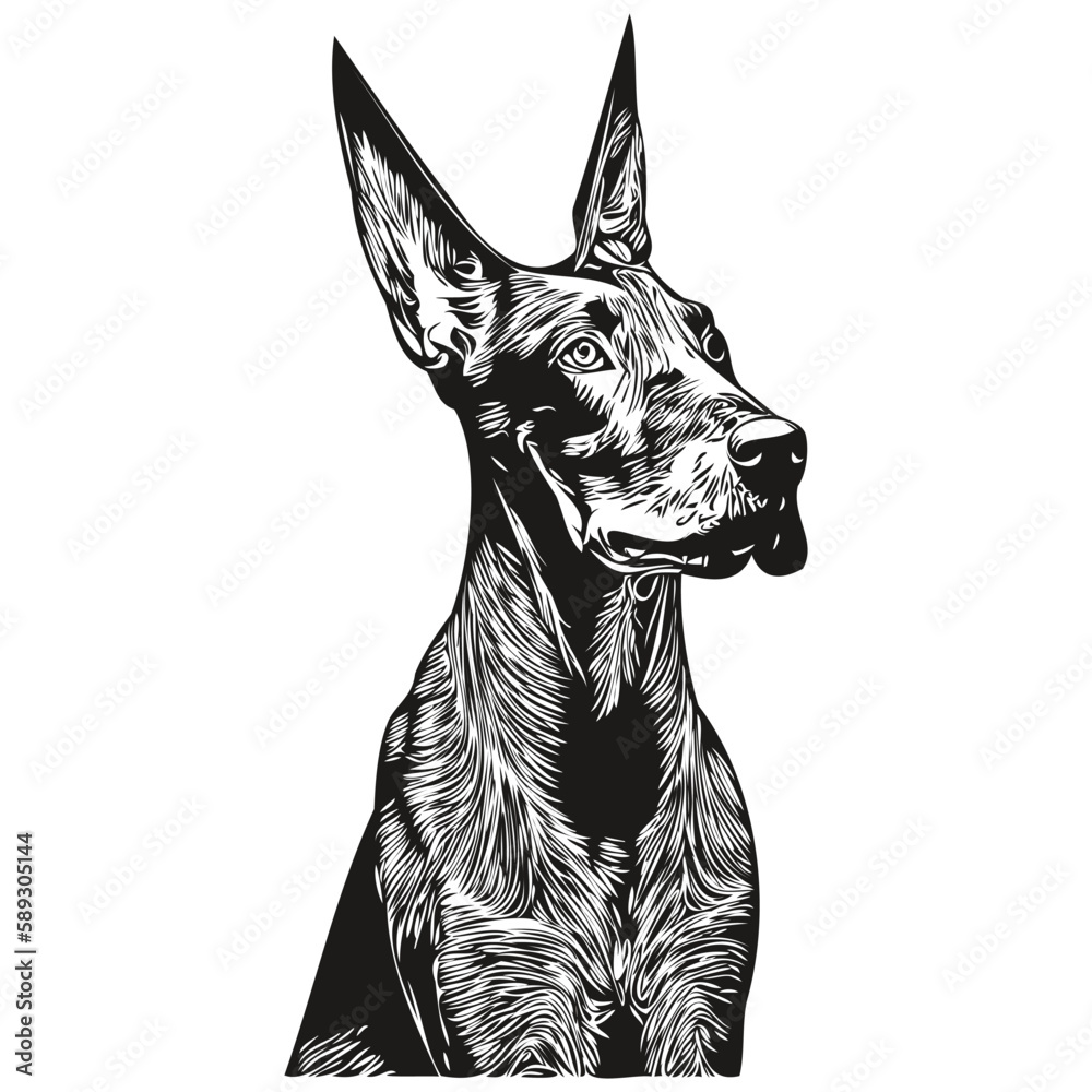 Vetor de Doberman Pinschers dog logo hand drawn line art vector drawing ...