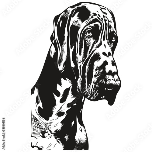 Great Dane dog hand drawn line art vector drawing black and white logo pets illustration