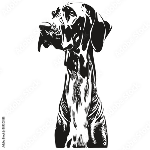 Great Dane dog logo hand drawn line art vector drawing black and white pets illustration