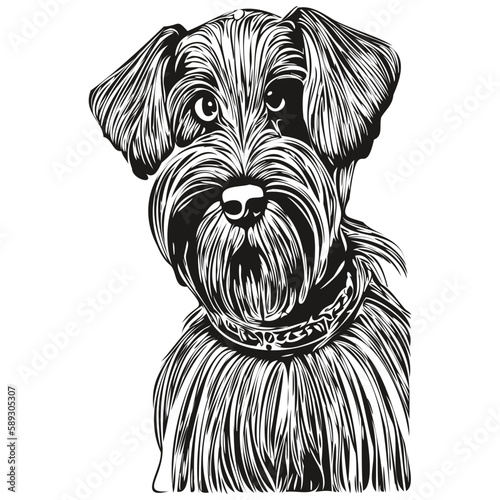 Miniature Schnauzer dog hand drawn line art vector drawing black and white logo pets illustration