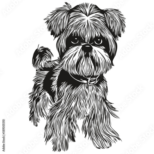 Shih Tzu dog black and white vector logo, line art hand drawn vector pets illustration