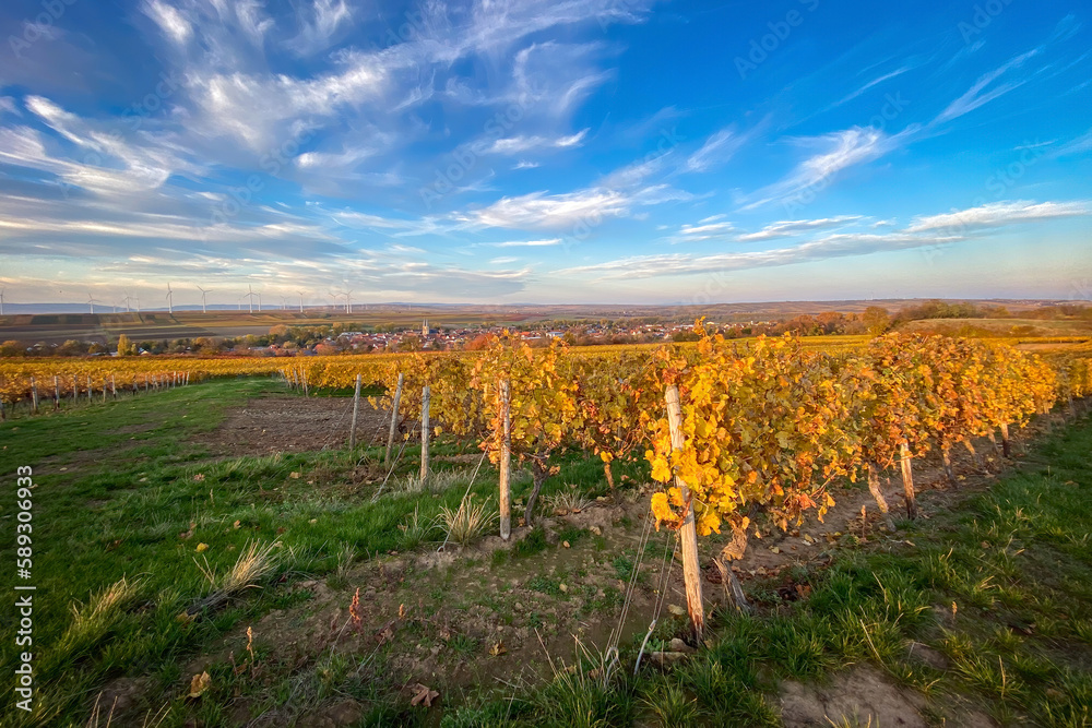 Scenic view of Flonheim in Rhine Hesse, Germany with autumn colored yellow vineyards