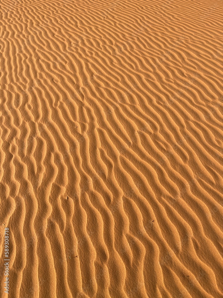 Grains of sand forming small waves on the dunes, panoramic view. Background, texture. Dunes in the Sahara desert, Merzouga desert
Grains of sand forming small waves on the dunes, panoramic view. Background, texture. Dunes in the Sahara desert, Merzouga desert