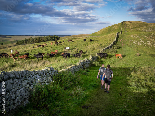 Cuadro en lienzo Hikers approaching Once Brewed near Steel Rigg on Hadrian's Wall Path, Northumbe